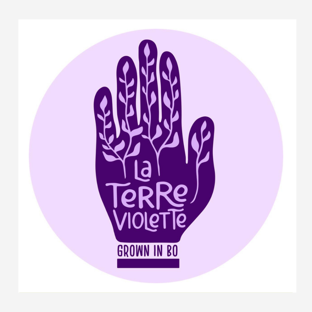 logo la terre violette