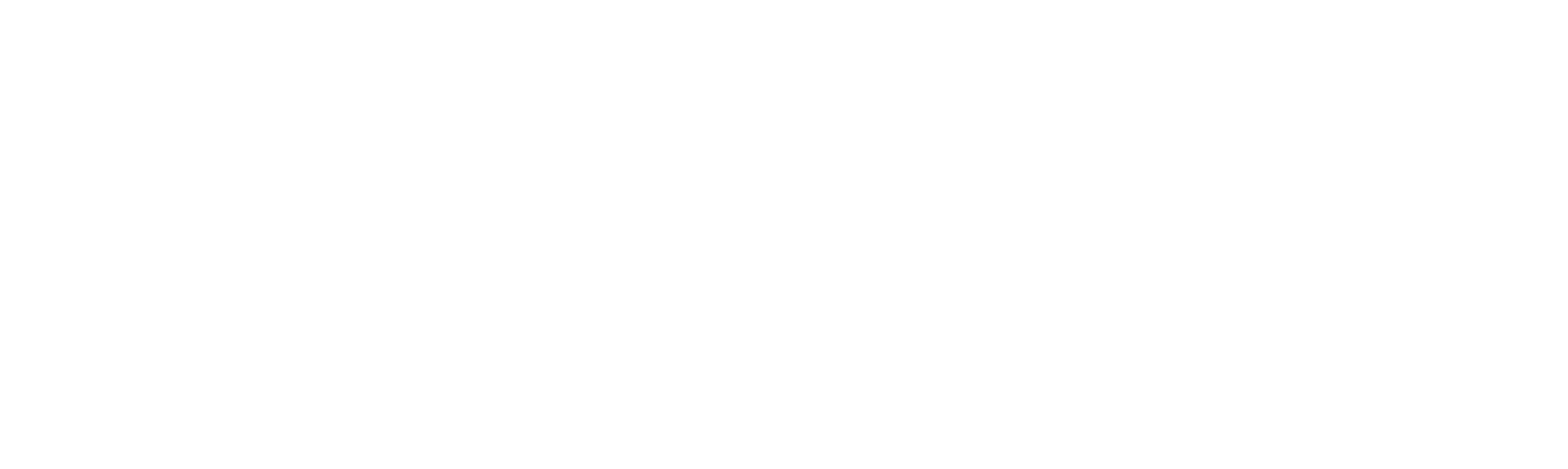 Logo Fondazione IU Rusconi Ghigi